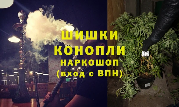 стаф Арсеньев