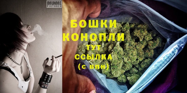 стаф Арсеньев