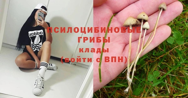 apvp Баксан